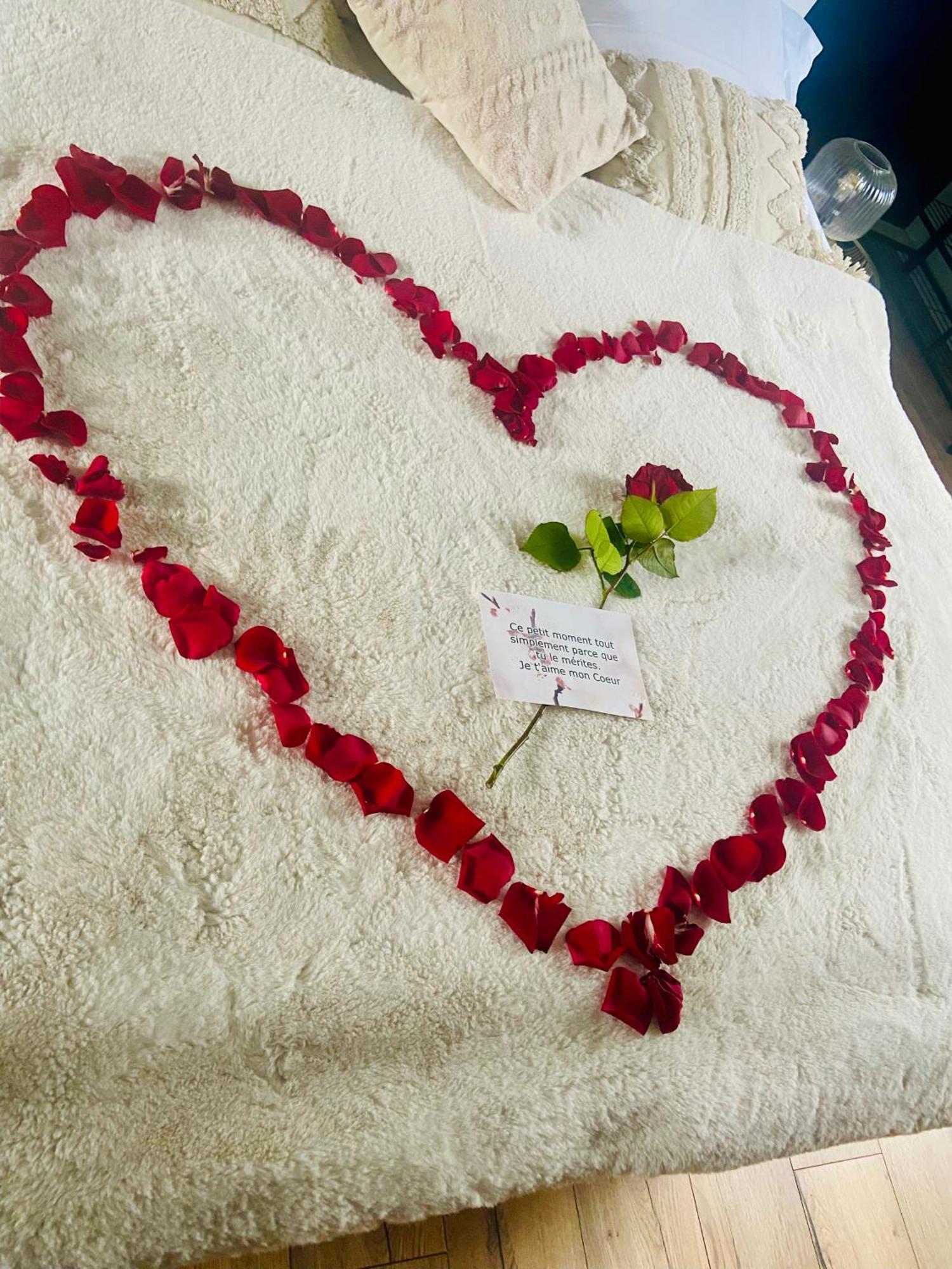 Apartment Saphir - Sauna Balneo Chromotherapie Massage Amiens
